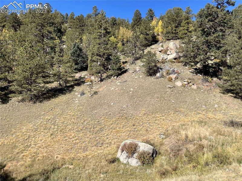1520-156 Pikes Peak Dr, Divide, CO 80814
