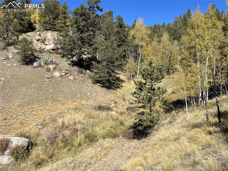 1520-156 Pikes Peak Dr, Divide, CO 80814