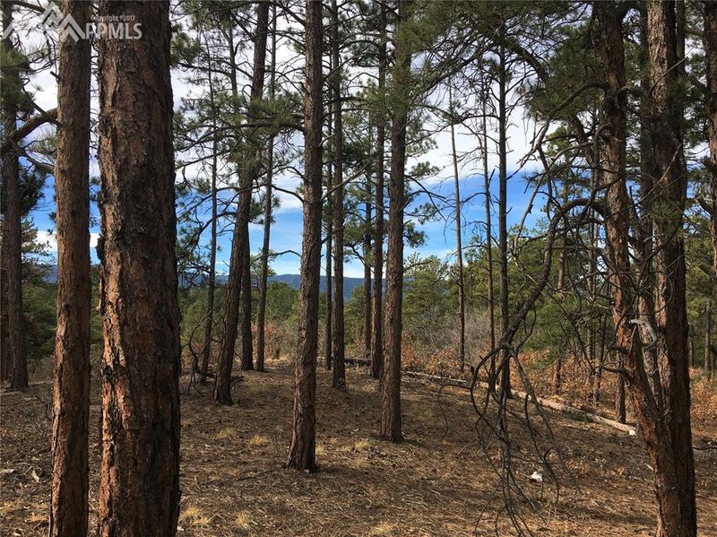 1521 Independence Dr, Larkspur, CO 80118