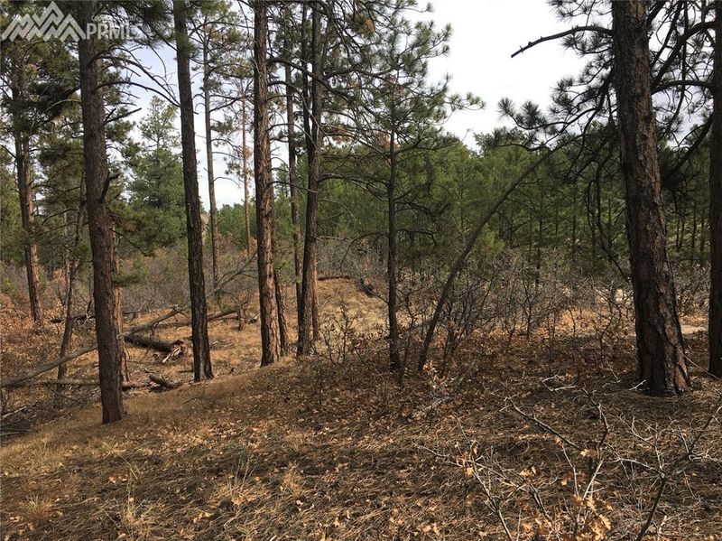 1521 Independence Dr, Larkspur, CO 80118