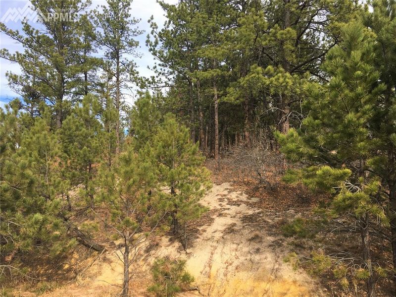 1521 Independence Dr, Larkspur, CO 80118