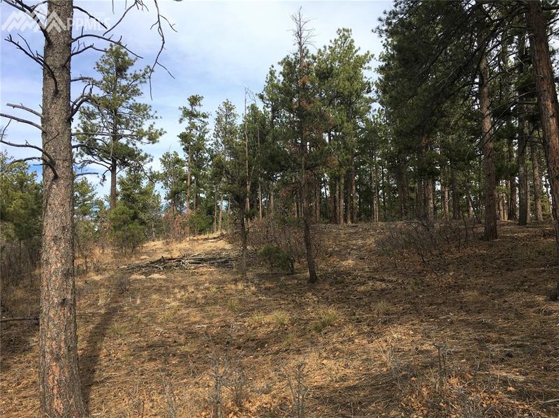1521 Independence Dr, Larkspur, CO 80118