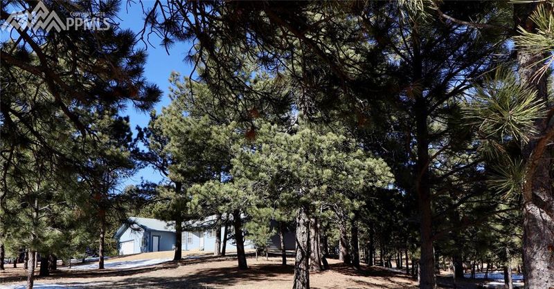 15240 Spiritwood Loop, Elbert, CO 80106