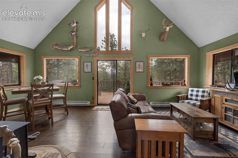 153 Arrowrock Cir, Florissant, CO 80816