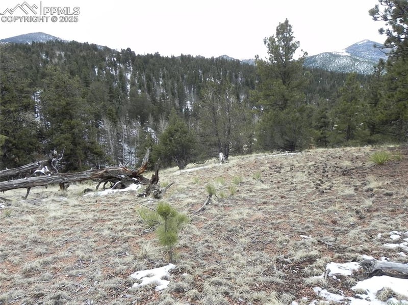 153 Idlewild Dr, Cripple Creek, CO 80813