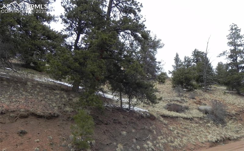 153 Idlewild Dr, Cripple Creek, CO 80813