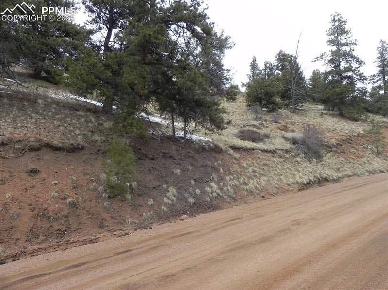 153 Idlewild Dr, Cripple Creek, CO 80813