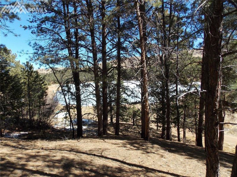 15366 Westcreek Rd, Sedalia, CO 80135