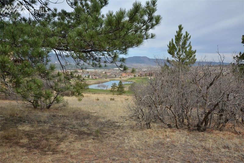 1544 Vine Cliff Hts, Colorado Springs, CO 80921