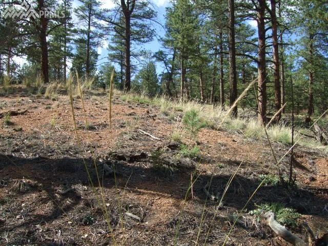 15453 Westcreek Rd, Sedalia, CO 80135