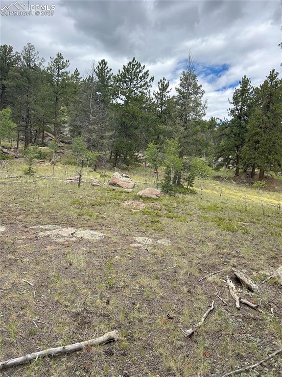 155 County Road 403, Florissant, CO 80816