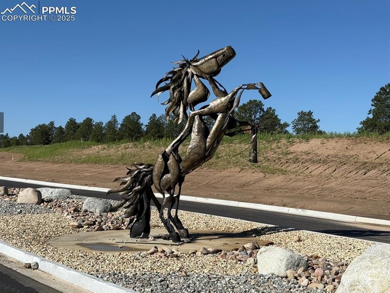 15557 Fringe Pl, Colorado Springs, CO 80908