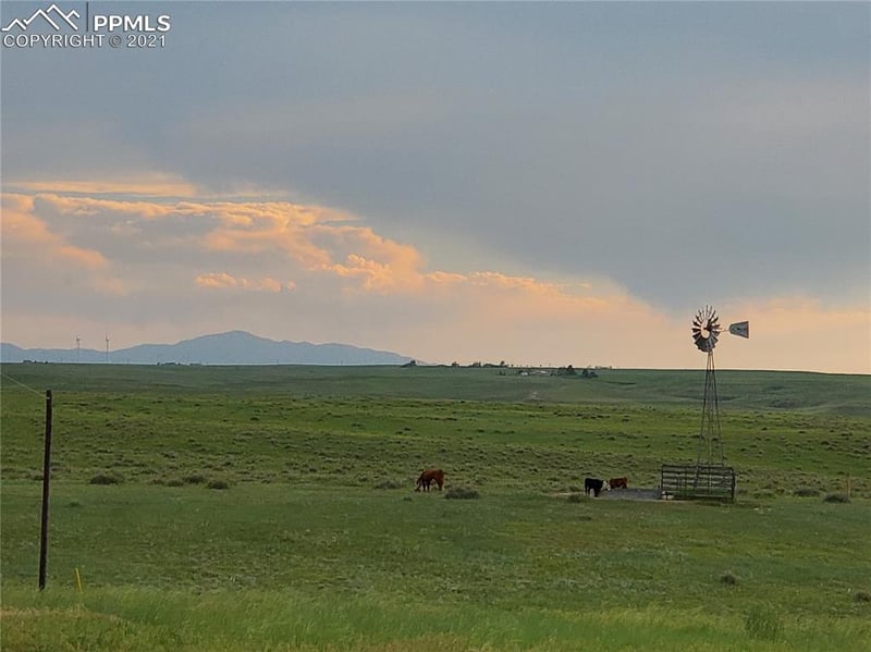 15578 County Road 133 Rd, Simla, CO 80835