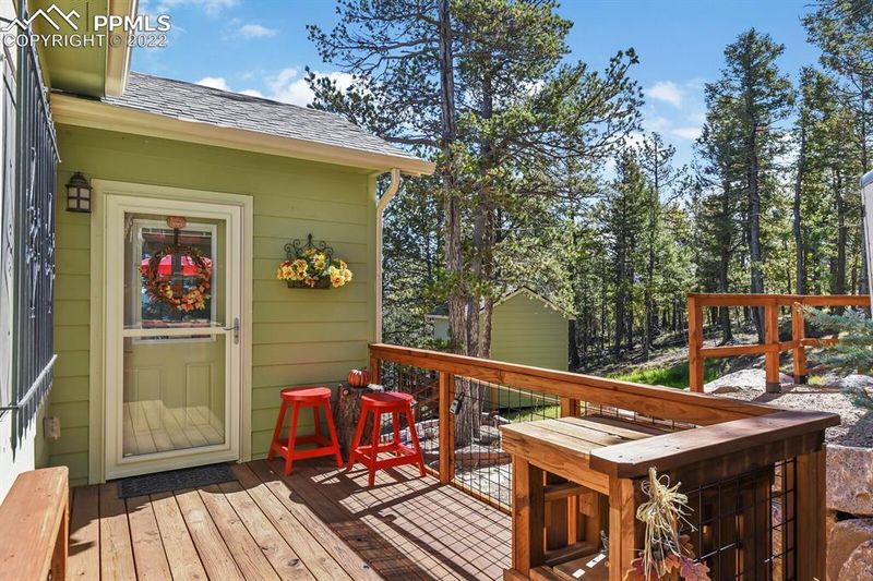 156 Bannock Trl, Woodland Park, CO 80863