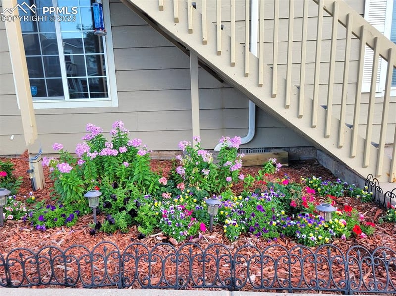 156 Ellers Grv, Colorado Springs, CO 80916