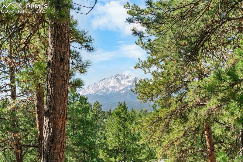 156 Ridge Dr, Woodland Park, CO 80863