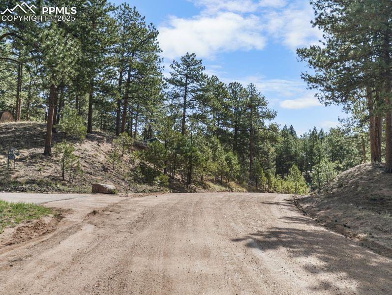 156 Ridge Dr, Woodland Park, CO 80863