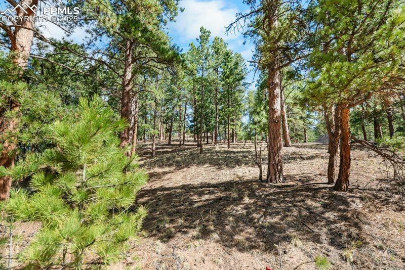156 Ridge Dr, Woodland Park, CO 80863