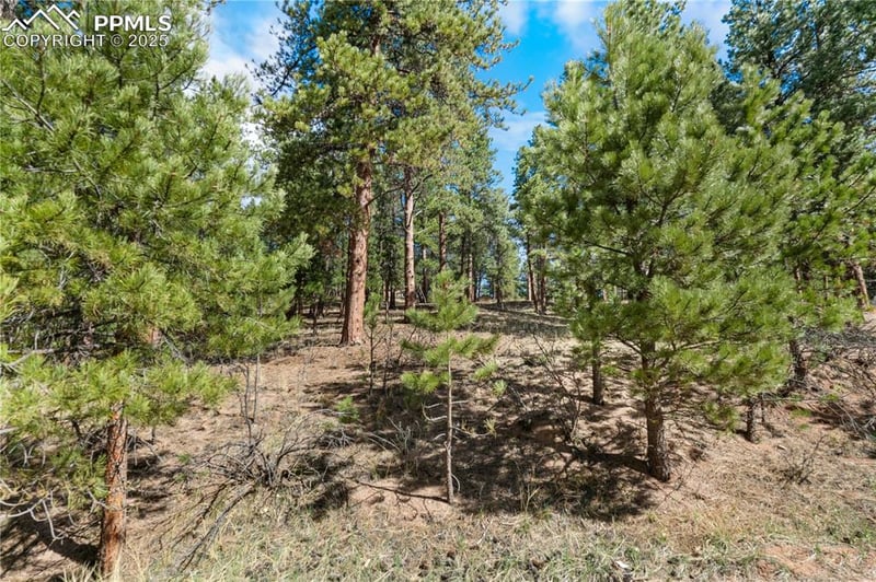 156 Ridge Dr, Woodland Park, CO 80863
