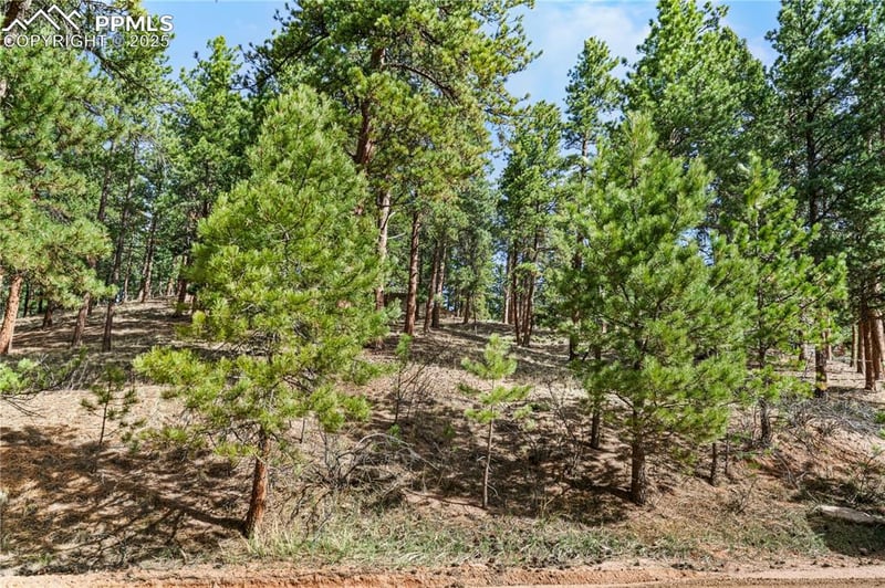 156 Ridge Dr, Woodland Park, CO 80863