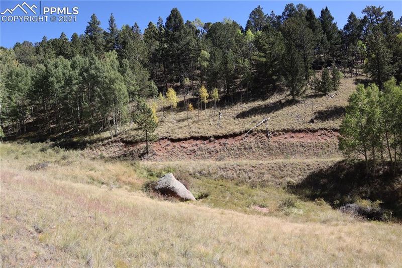 1560-1520 Pikes Peak Dr, Divide, CO 80814