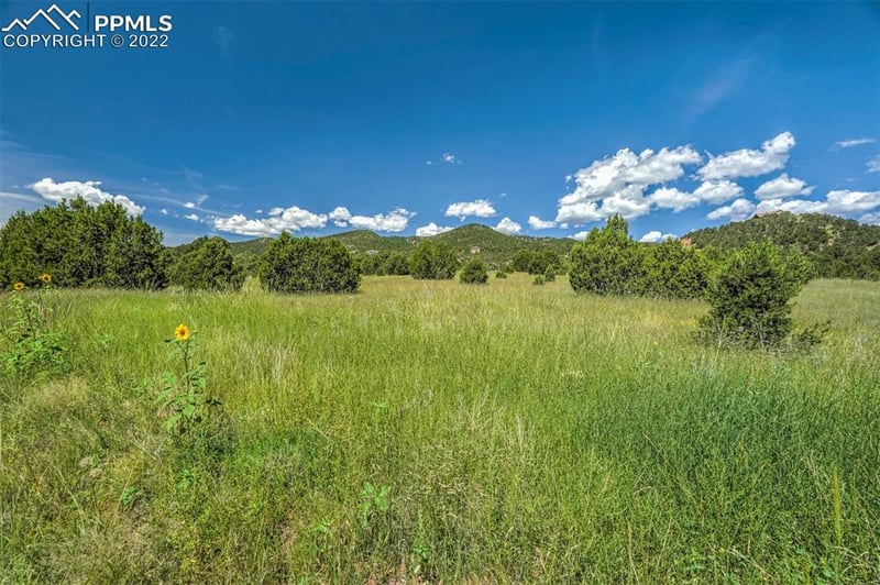 15620 Rancho Pavo Dr, Colorado Springs, CO 80926