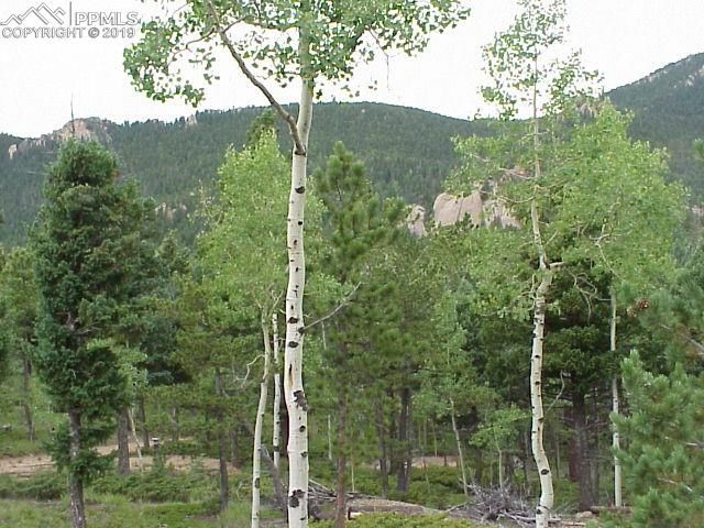 157 Big Bear Rd, Manitou Springs, CO 80829
