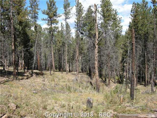 157 Mock Dr, Sedalia, CO 80135