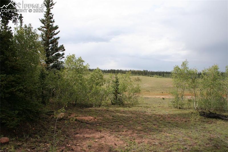 157 Road Runner Ct, Como, CO 80432