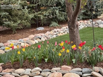 15701 Split Creek Dr, Monument, CO 80132