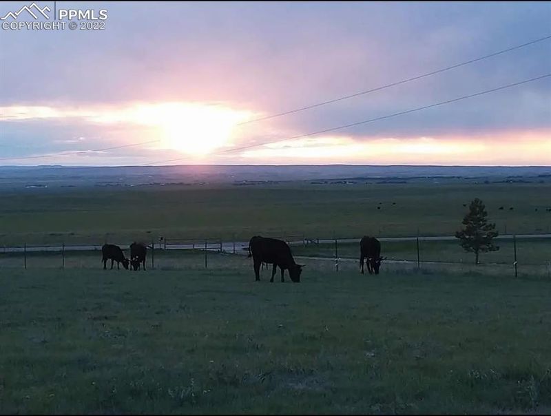 1575 S Calhan Hw, Calhan, CO 80808