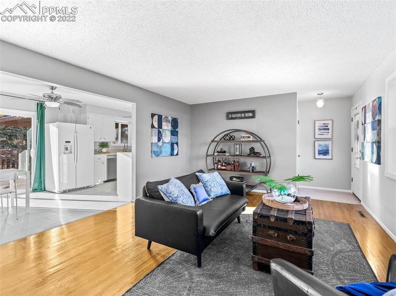 158 Mcshane Pl, Monument, CO 80132