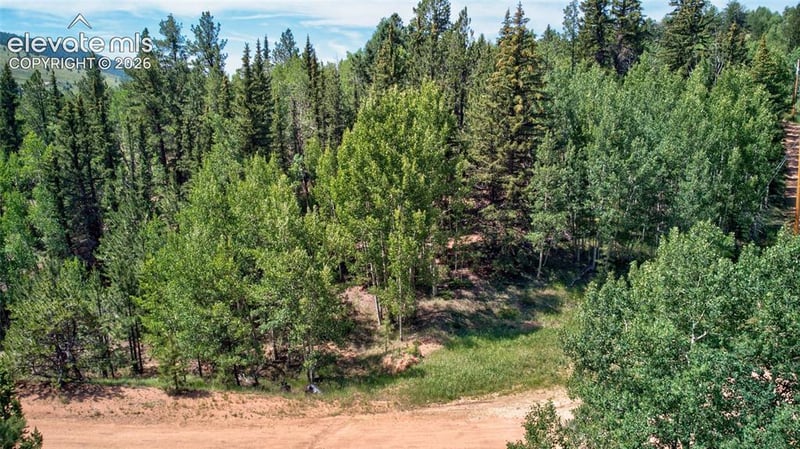 158 Rattler Ct, Cripple Creek, CO 80813