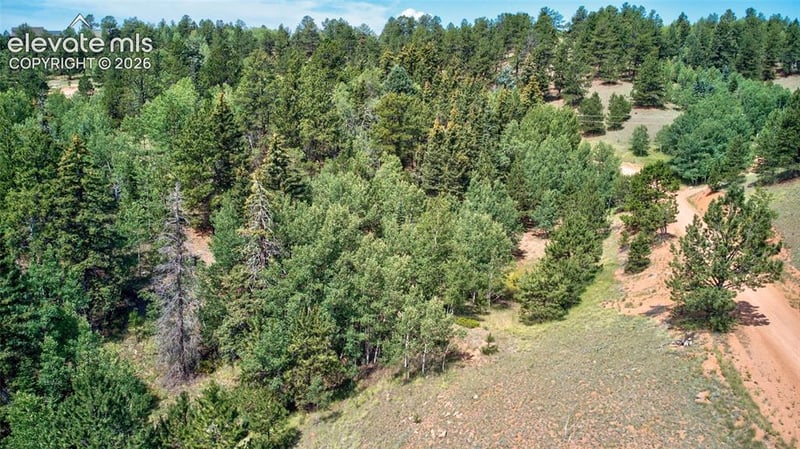 158 Rattler Ct, Cripple Creek, CO 80813