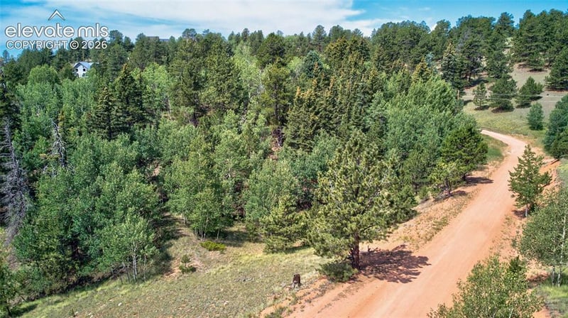 158 Rattler Ct, Cripple Creek, CO 80813