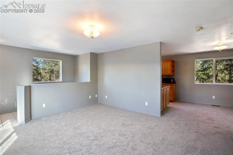 15825 Spruce Dr, Woodland Park, CO 80863