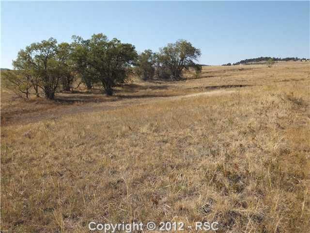 15880 Doggie Ct, Peyton, CO 80831