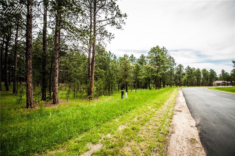 15885 Pole Pine Point, Colorado Springs, CO 80908