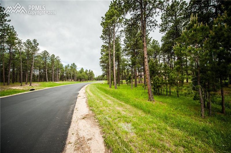 15885 Pole Pine Point, Colorado Springs, CO 80908