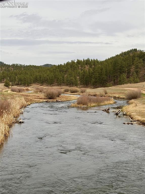 159 Platte Rd, Lake George, CO 80827