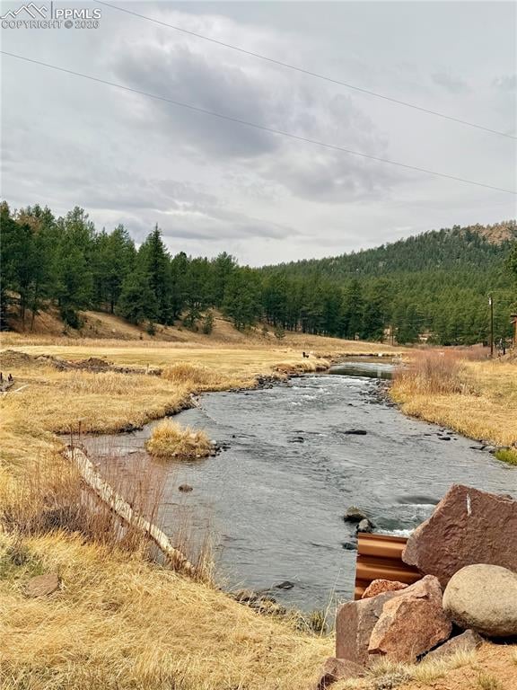 159 Platte Rd, Lake George, CO 80827