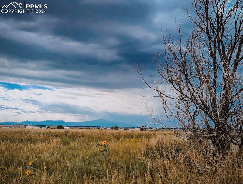 15915 Willie Ln, Peyton, CO 80831