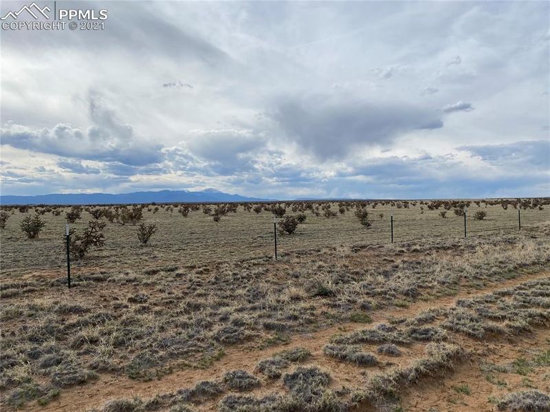 15975 Degroot Rd, Colorado Springs, CO 80928