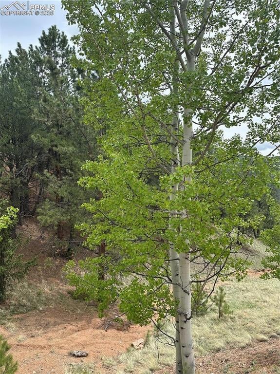 1600 Pikes Peak Dr, Divide, CO 80814