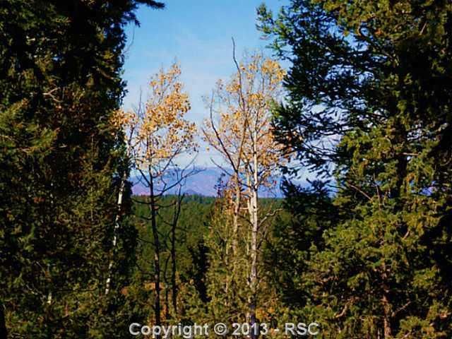 1601 County Road 25, Divide, CO 80814
