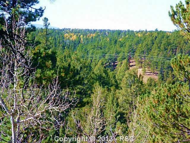 1601 County Road 25, Divide, CO 80814