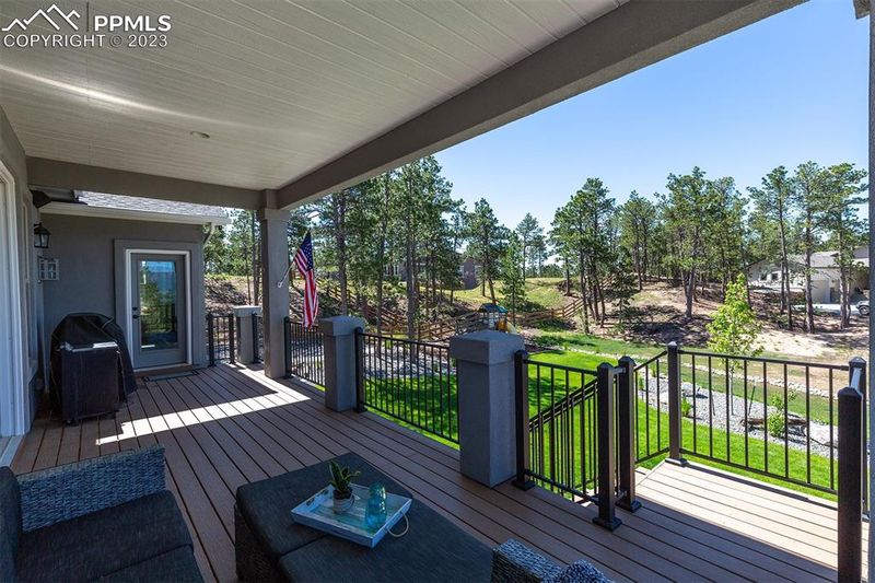 16071 Misty Rain Ct, Monument, CO 80132