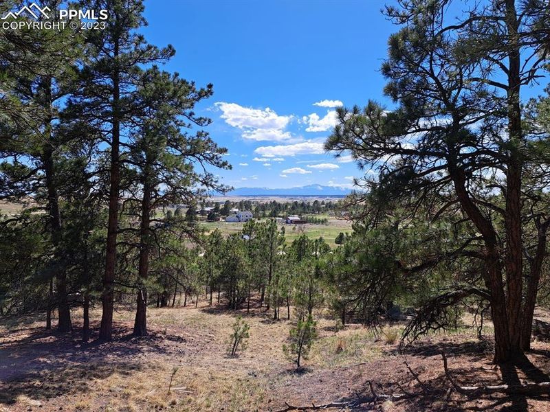 16095 Gollihar Rd, Peyton, CO 80831