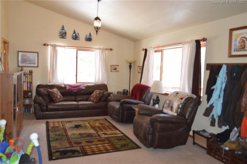 161 Kenosha Cir, Divide, CO 80814