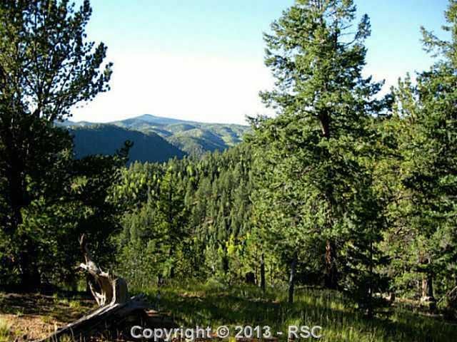 161 Woodrock Way, Divide, CO 80814